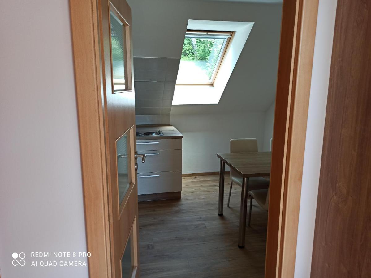 Apartament Apartma Na Lipne Horní Planá Zewnętrze zdjęcie