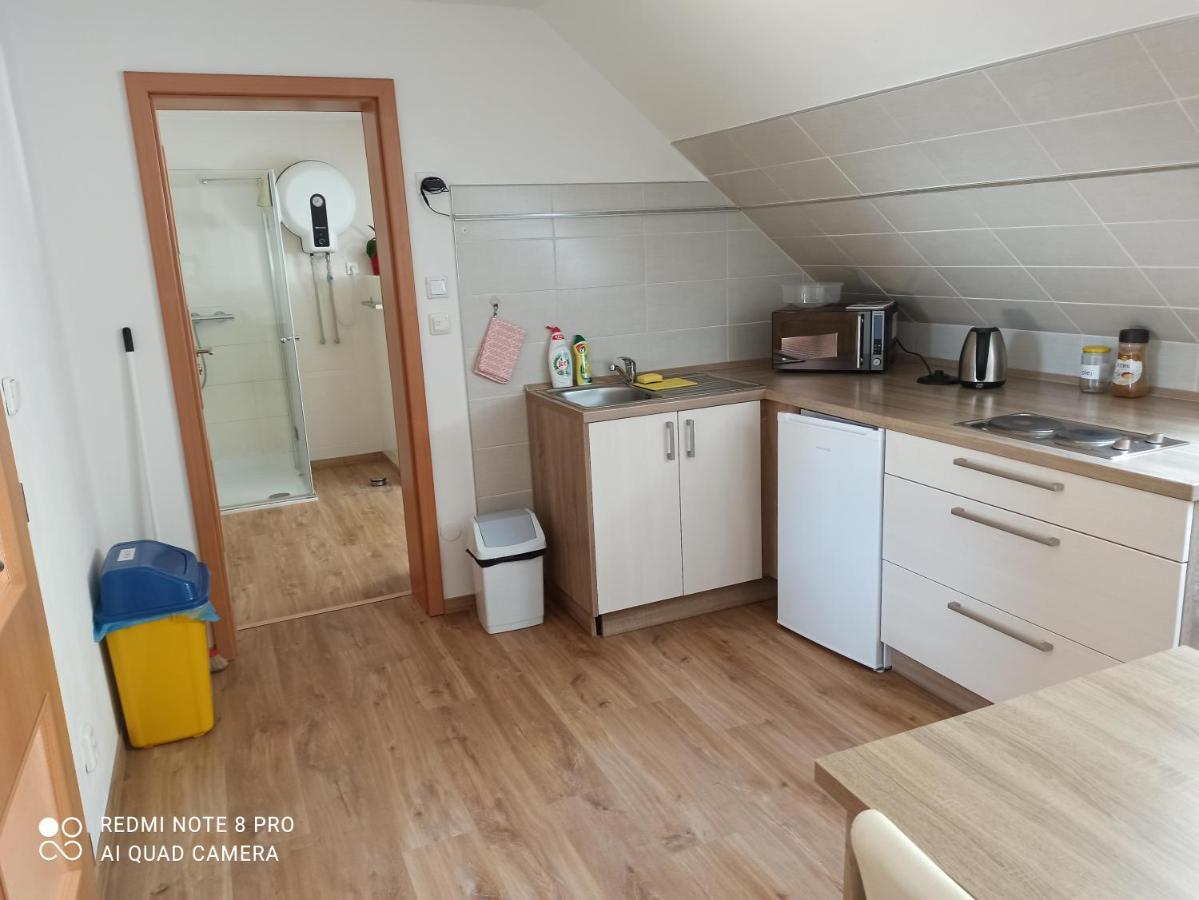 Apartament Apartma Na Lipne Horní Planá Zewnętrze zdjęcie